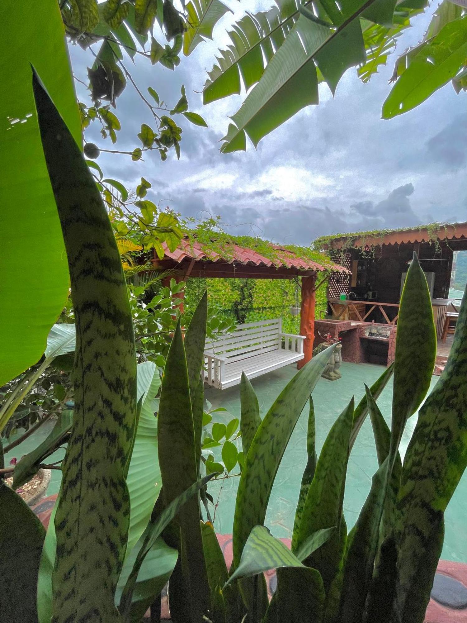 קרתגו Dreams Lodge Orosi מראה חיצוני תמונה